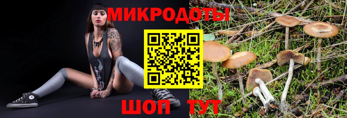 Иваново  закладка  Вход с VPN  Галлюциногенные грибы Cubensis 